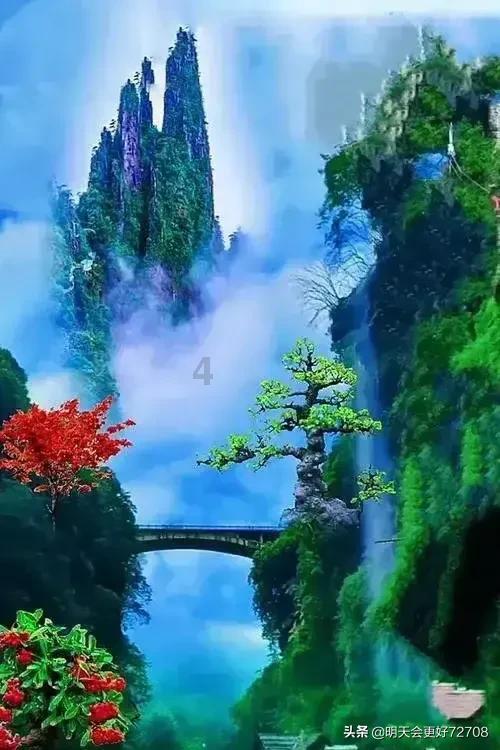 高二语文哪些文言文会考到-专业红迪网平台